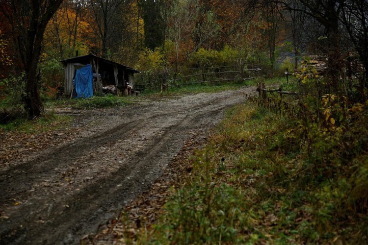 Производство древесного угля в горном лесу Польши Производство древесного угля в горном лесу Польши