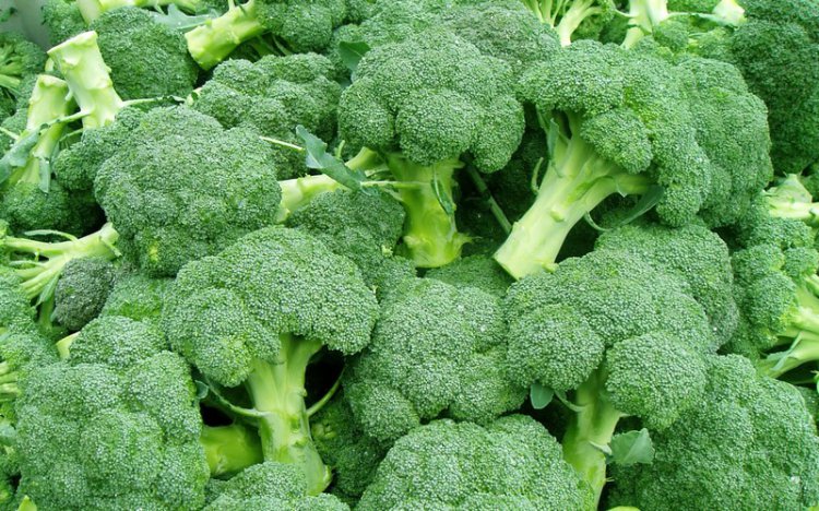 Низкокалорийные продукты, которые помогут вам сохранить фигуру Низкокалорийные продукты, которые помогут вам сохранить фигуру