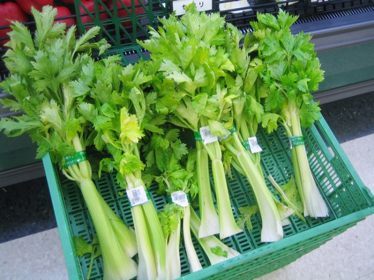 Низкокалорийные продукты, которые помогут вам сохранить фигуру Низкокалорийные продукты, которые помогут вам сохранить фигуру