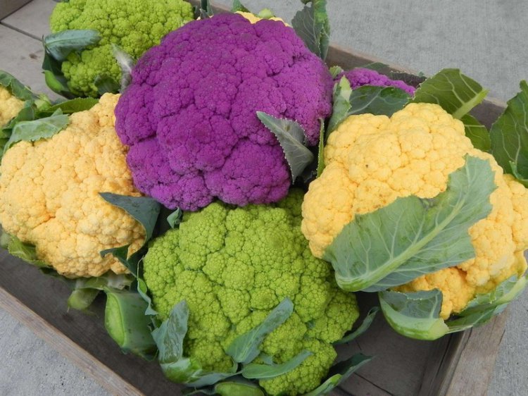 Низкокалорийные продукты, которые помогут вам сохранить фигуру Низкокалорийные продукты, которые помогут вам сохранить фигуру