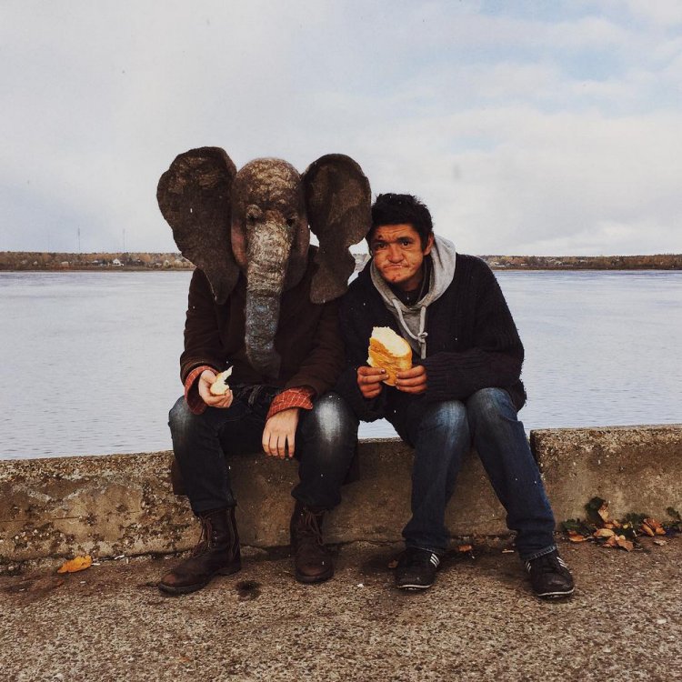 Печальный Instagram человека с головой слона Печальный Instagram человека с головой слона