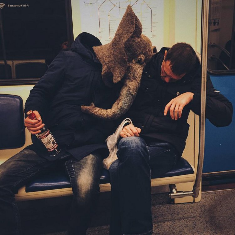 Печальный Instagram человека с головой слона Печальный Instagram человека с головой слона