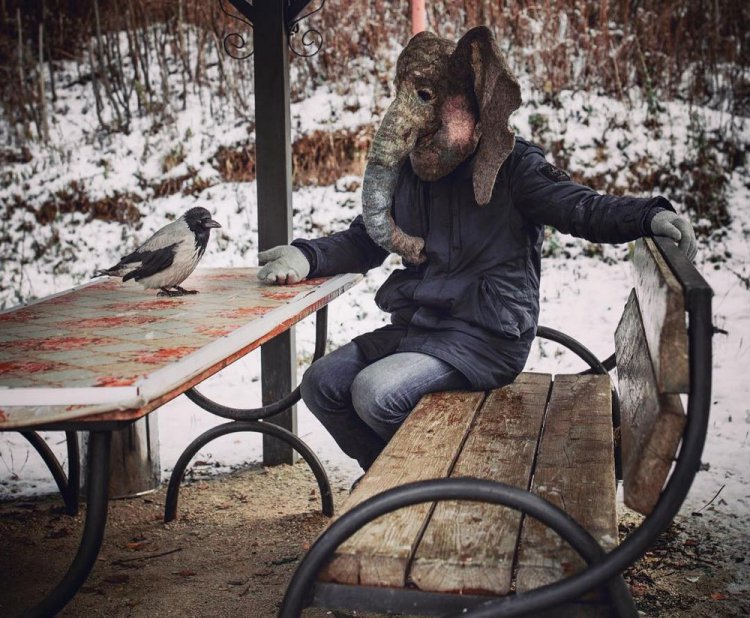 Печальный Instagram человека с головой слона Печальный Instagram человека с головой слона