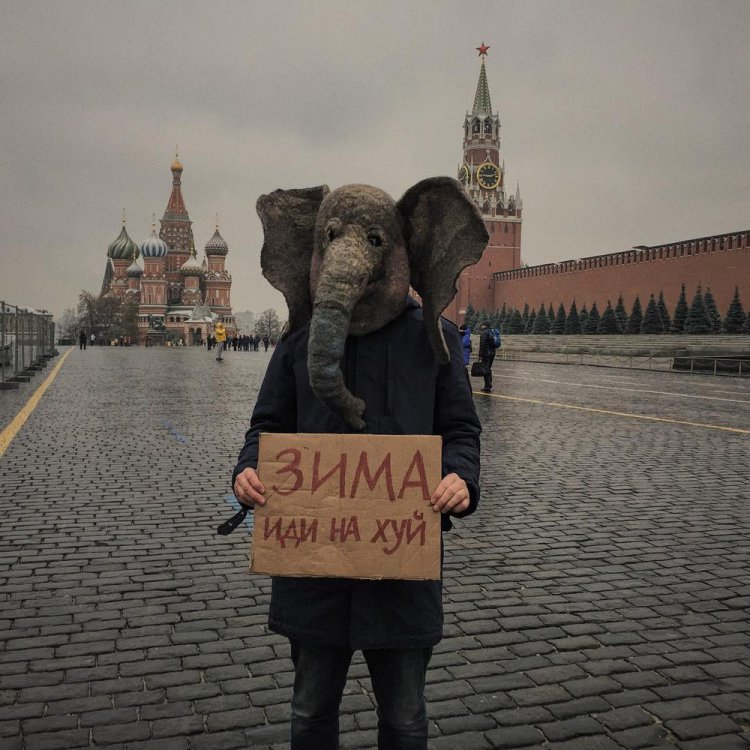 Печальный Instagram человека с головой слона Печальный Instagram человека с головой слона