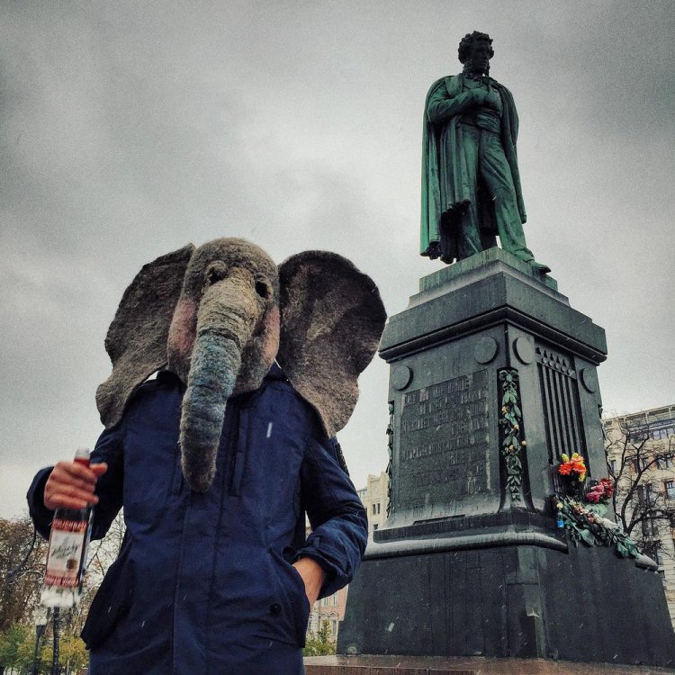 Печальный Instagram человека с головой слона Печальный Instagram человека с головой слона
