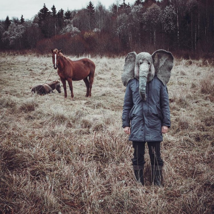 Печальный Instagram человека с головой слона Печальный Instagram человека с головой слона