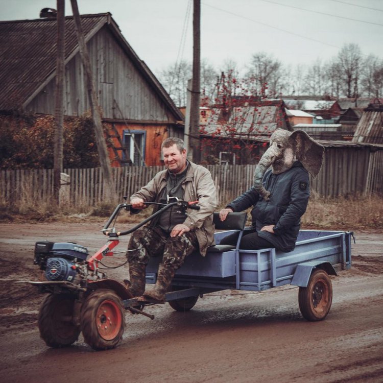 Печальный Instagram человека с головой слона Печальный Instagram человека с головой слона