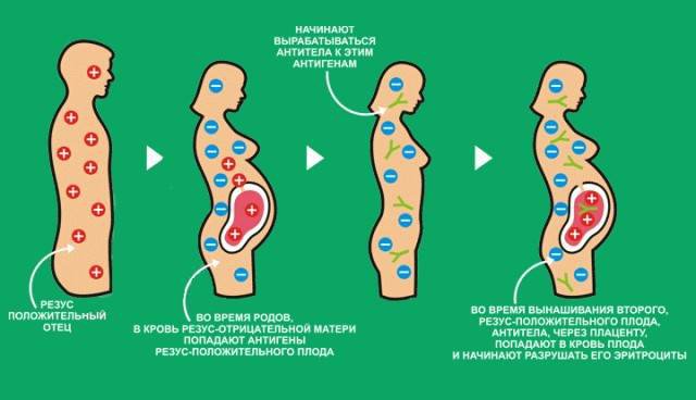 Факты, которые нужно знать о группе крови Факты, которые нужно знать о группе крови