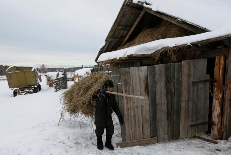 Последний из Михайловки Последний из Михайловки