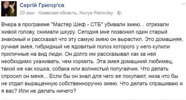 Скандал на Мастер Шеф 6: воспитатель змеи, убитой на проекте, в шоке от жесткого обращения с животными (фото) Скандал на Мастер Шеф 6: воспитатель змеи, убитой на проекте, в шоке от жесткого обращения с животными (фото)