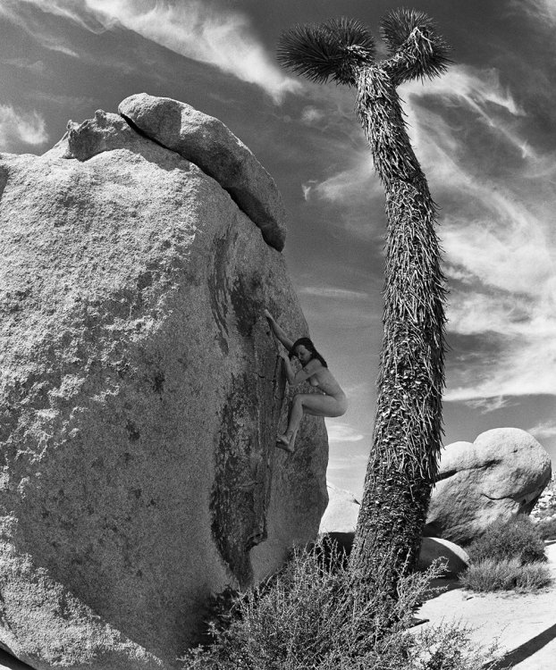 Эротический календарь «Stone Nudes 2017» Эротический календарь «Stone Nudes 2017»