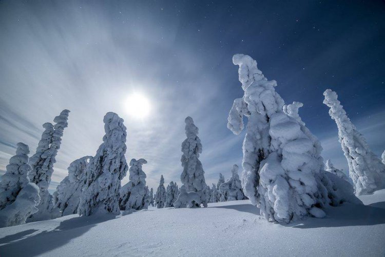 Зима в Лапландии Зима в Лапландии