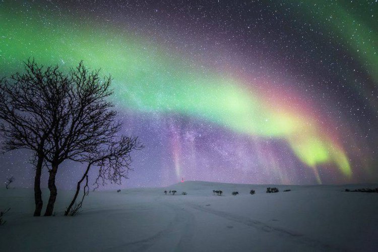 Зима в Лапландии Зима в Лапландии