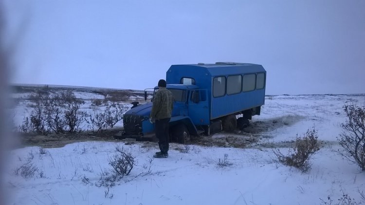 Настоящие внедорожники Чукотки Настоящие внедорожники Чукотки