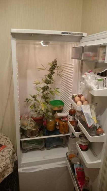 20 странных фото, от которых ваш мозг будет кипеть 20 странных фото, от которых ваш мозг будет кипеть