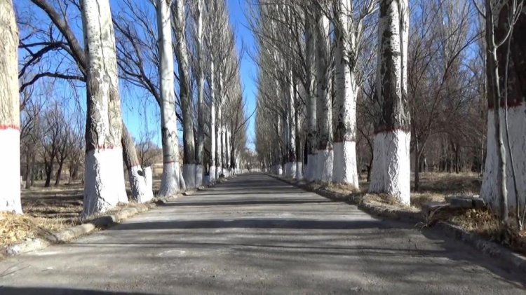 Радиоактивный город ‘404’, где Китай проводил испытания ядерной бомбы во времена холодной войны Радиоактивный город ‘404’, где Китай проводил испытания ядерной бомбы во времена холодной войны