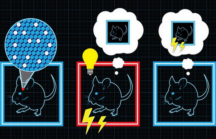 Изобретения XXI века, которые скоро будут в каждом доме Изобретения XXI века, которые скоро будут в каждом доме