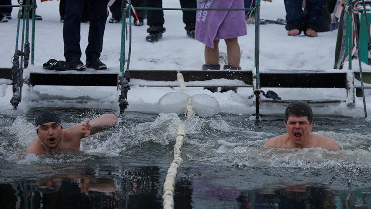 Моржи в кокошниках Моржи в кокошниках