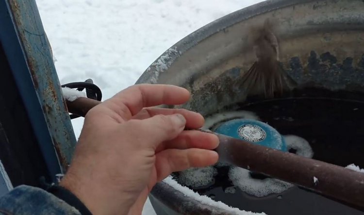 Добрый человек спас птичку, примерзшую к трубе Добрый человек спас птичку, примерзшую к трубе