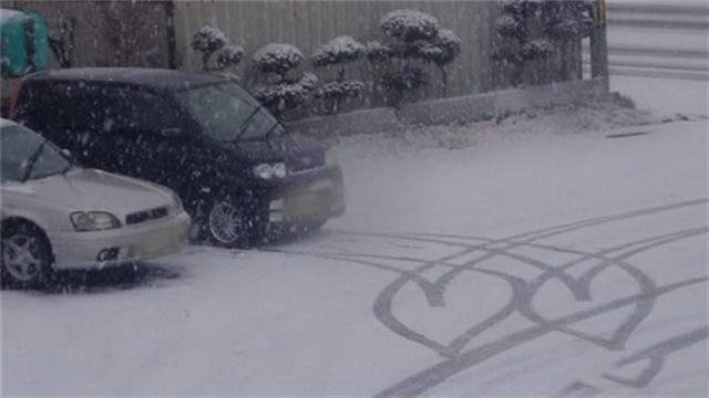 Веселые зимние кадры Веселые зимние кадры