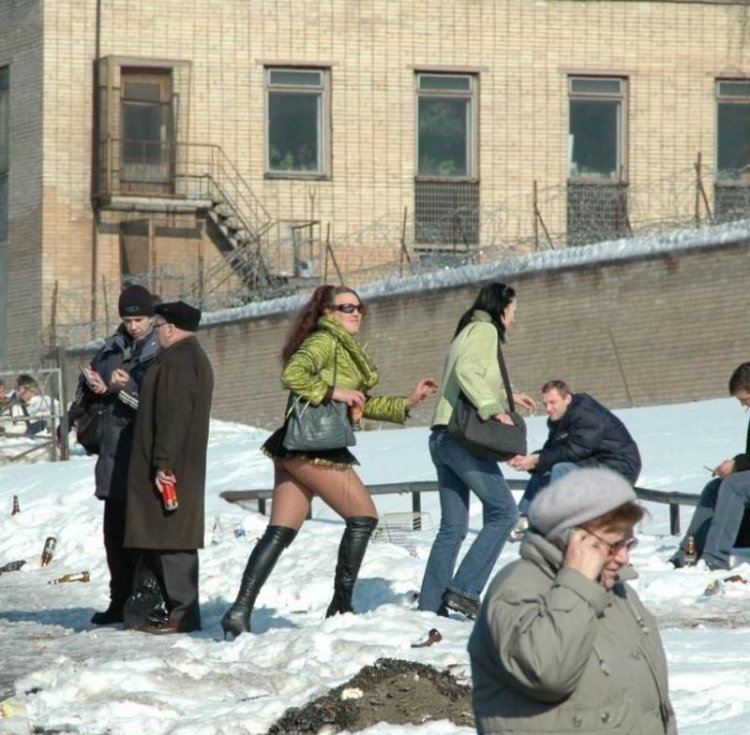 Веселые зимние кадры Веселые зимние кадры