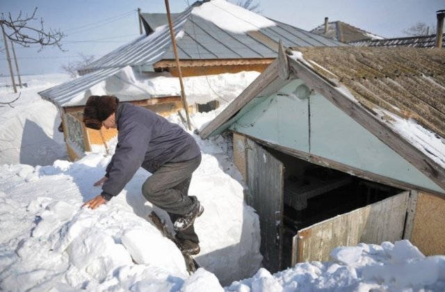 Веселые зимние кадры Веселые зимние кадры