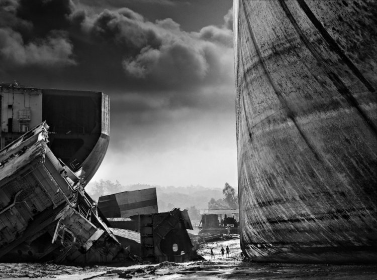 Фотограф Дэвид Ярроу: «Дикие встречи» Фотограф Дэвид Ярроу: «Дикие встречи»