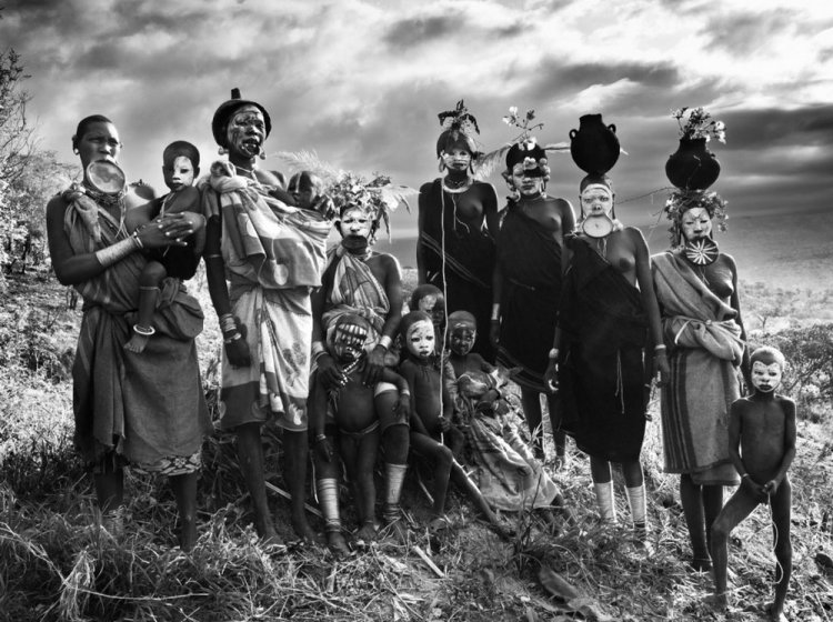 Фотограф Дэвид Ярроу: «Дикие встречи» Фотограф Дэвид Ярроу: «Дикие встречи»