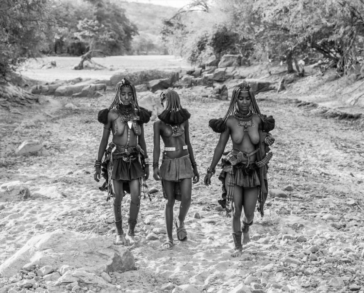 Фотограф Дэвид Ярроу: «Дикие встречи» Фотограф Дэвид Ярроу: «Дикие встречи»