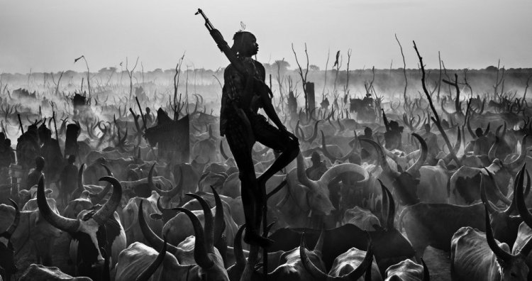 Фотограф Дэвид Ярроу: «Дикие встречи» Фотограф Дэвид Ярроу: «Дикие встречи»