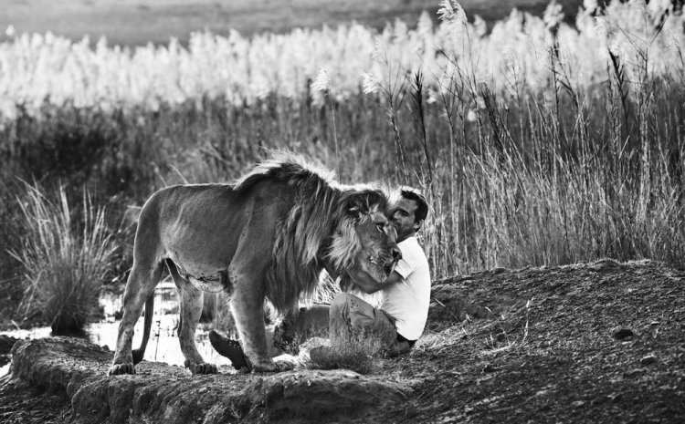 Фотограф Дэвид Ярроу: «Дикие встречи» Фотограф Дэвид Ярроу: «Дикие встречи»