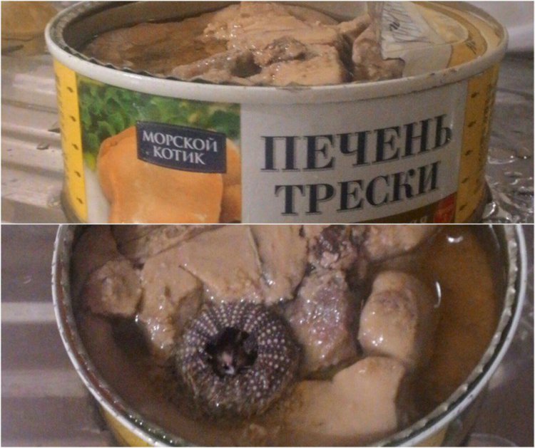 Неожиданная находка в печени трески Неожиданная находка в печени трески