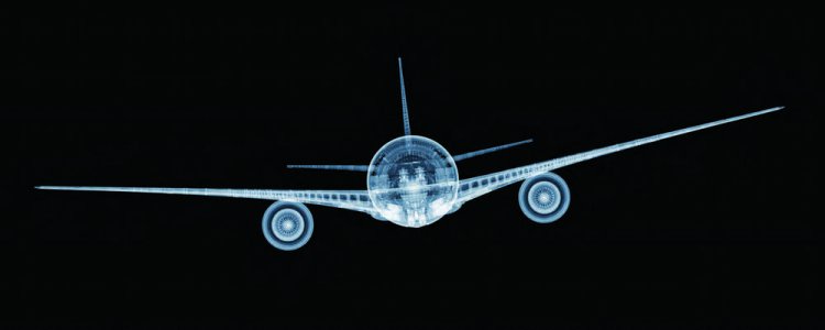 Удивительные рентгеновские фотографии Ника Визи Удивительные рентгеновские фотографии Ника Визи