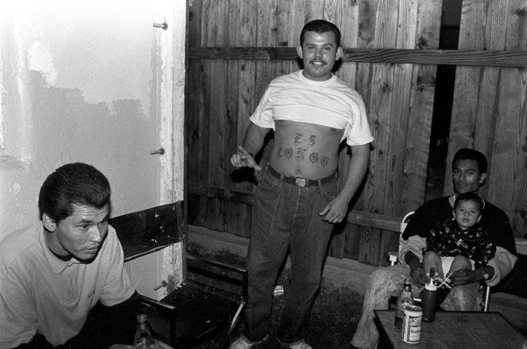 Уличные банды Лос-Анджелеса 1990-х годов Уличные банды Лос-Анджелеса 1990-х годов