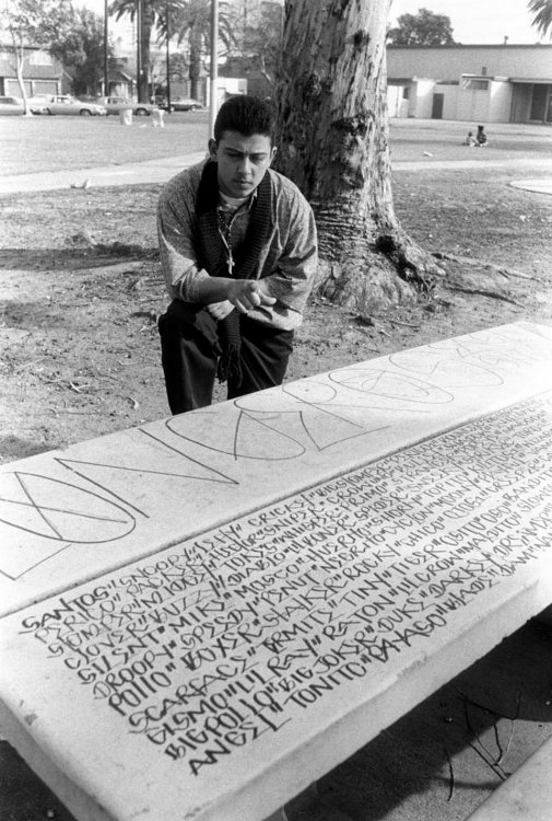 Уличные банды Лос-Анджелеса 1990-х годов Уличные банды Лос-Анджелеса 1990-х годов