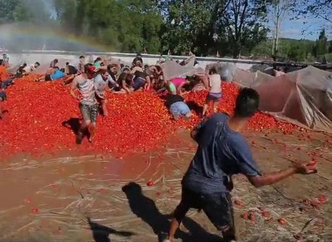Битва помидорами в Чили Битва помидорами в Чили