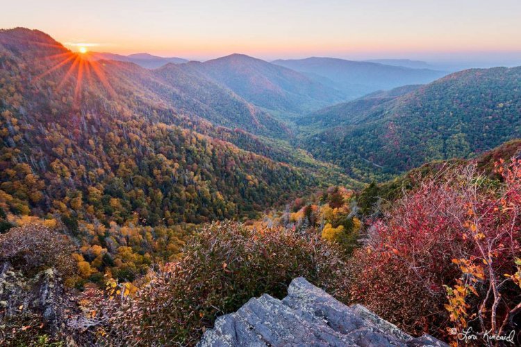 Красивая природа на снимках Лори Кинкейд Красивая природа на снимках Лори Кинкейд
