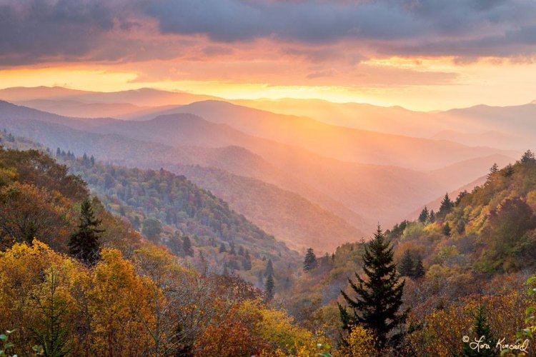 Красивая природа на снимках Лори Кинкейд Красивая природа на снимках Лори Кинкейд