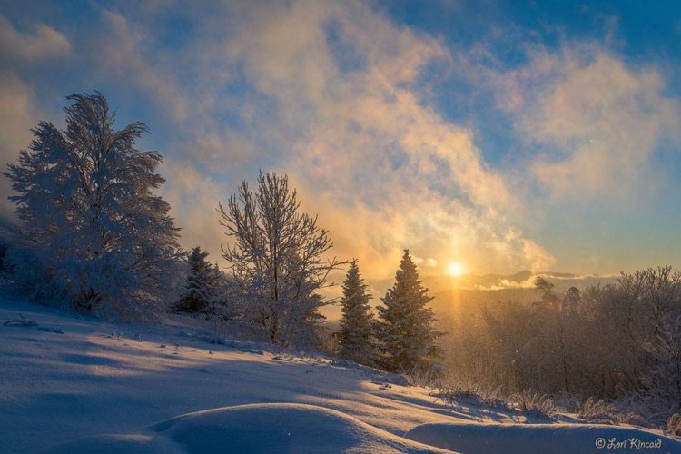Красивая природа на снимках Лори Кинкейд Красивая природа на снимках Лори Кинкейд