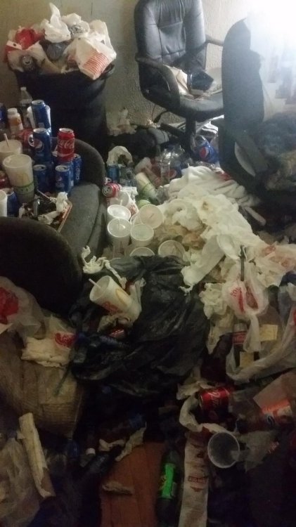 «Уютная» комната китайского студента «Уютная» комната китайского студента