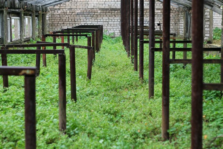 К дачному сезону не готовы: заброшенные парники, теплицы и оранжереи К дачному сезону не готовы: заброшенные парники, теплицы и оранжереи