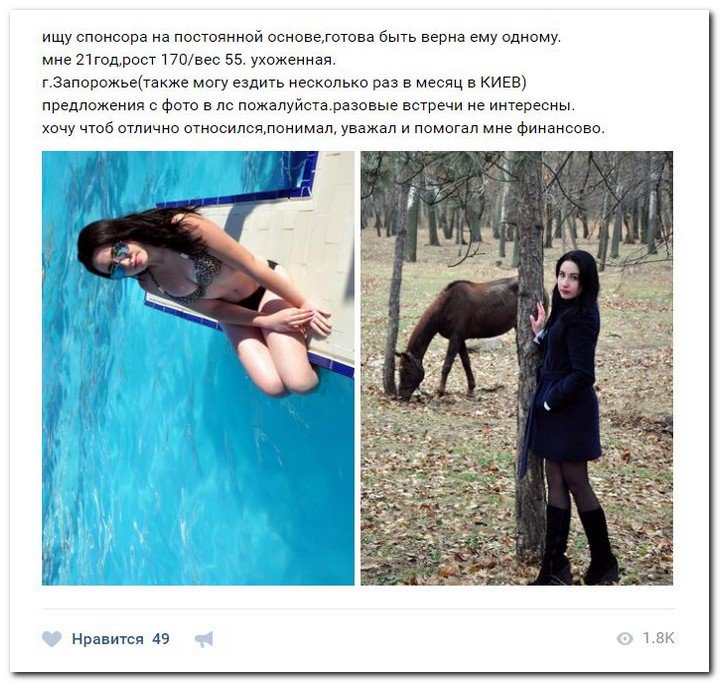 Девушки ищут спонсоров (часть 17) Девушки ищут спонсоров (часть 17)