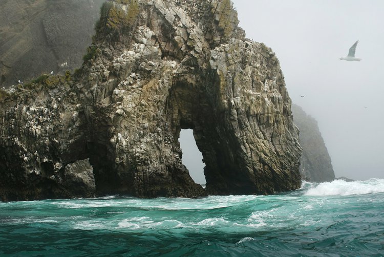Круиз на Камчатку Круиз на Камчатку