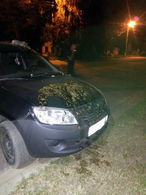 Месть за громкую музыку: Пенсионерка из Белгорода облила автомобиль фекалиями Месть за громкую музыку: Пенсионерка из Белгорода облила автомобиль фекалиями