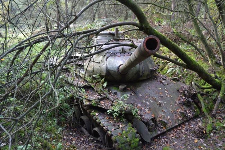 Заброшенные танки в немецких зарослях Заброшенные танки в немецких зарослях