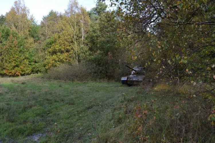 Заброшенные танки в немецких зарослях Заброшенные танки в немецких зарослях