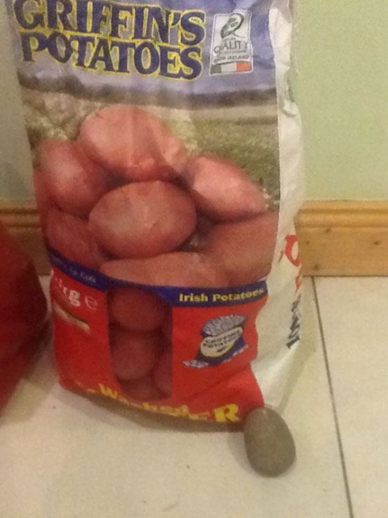 Случаи, когда не повезло с продуктами Случаи, когда не повезло с продуктами