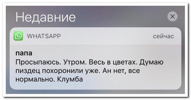      (31.07.17)