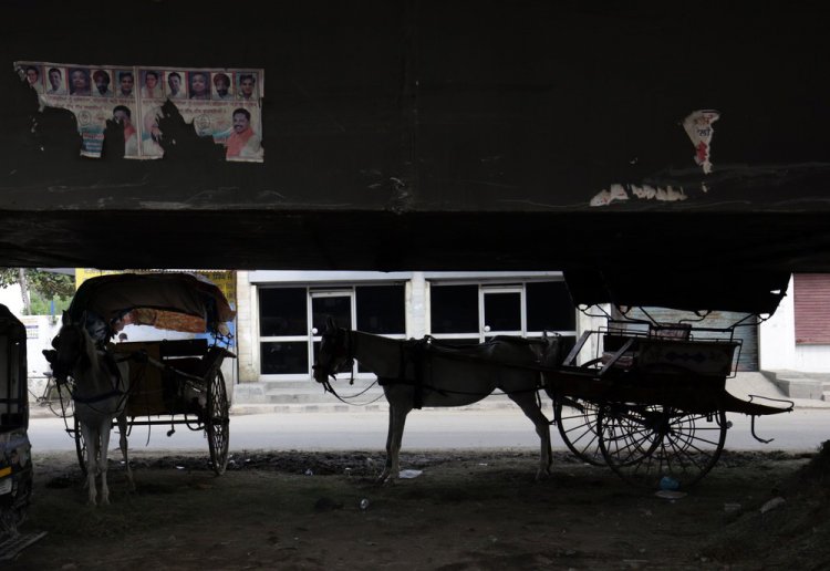 Фото, сделанные в Индии на прошлой неделе Фото, сделанные в Индии на прошлой неделе