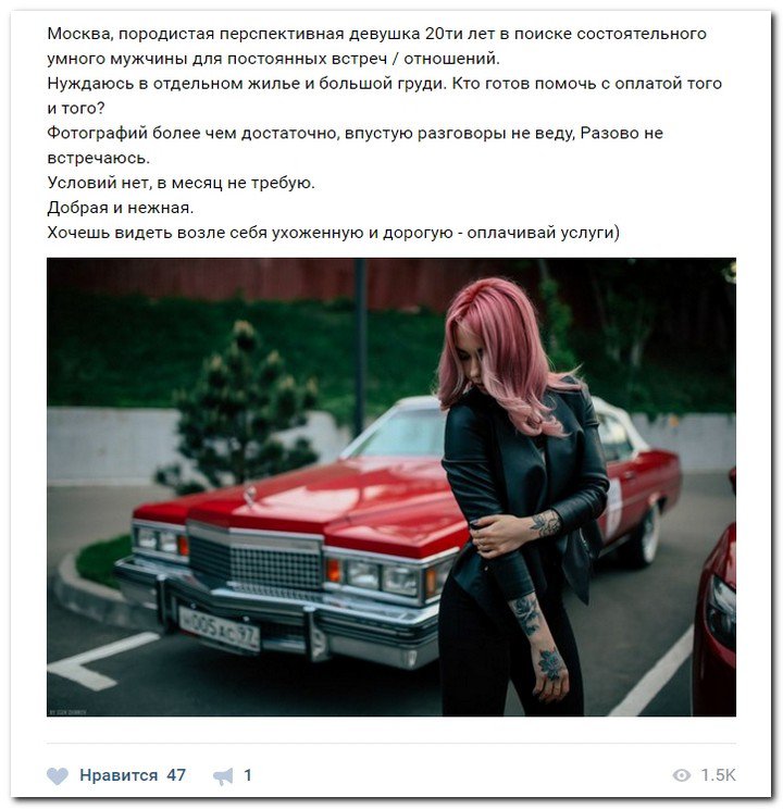 Девушки ищут спонсоров (часть 22) Девушки ищут спонсоров (часть 22)